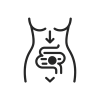 Targets Stubborn Belly Fat Silently